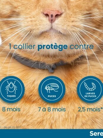 SERESTO Chat – Collier Anti-Puces et Anti-Tiques pour Chats, 1 Collier